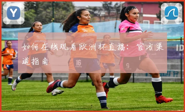 如何在线观看欧洲杯直播：官方渠道指南