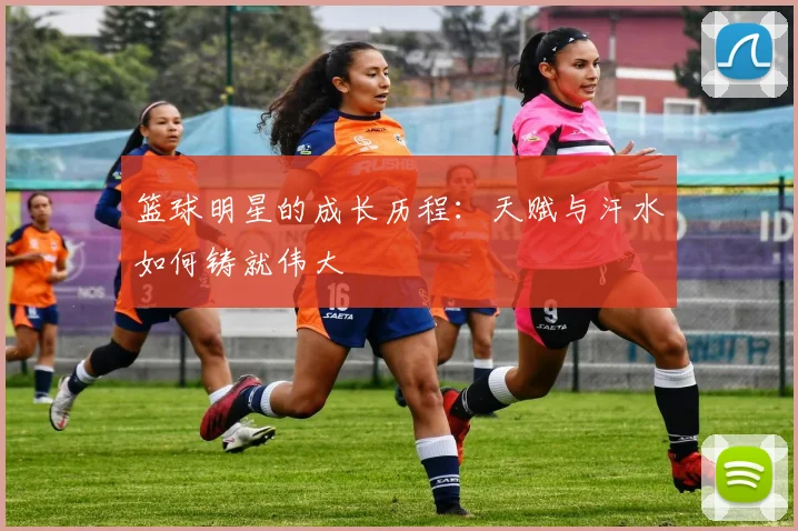 篮球明星的成长历程:天赋与汗水如何铸就伟大
