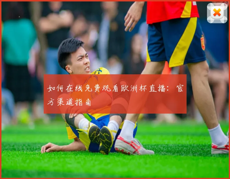 如何在线免费观看欧洲杯直播：官方渠道指南