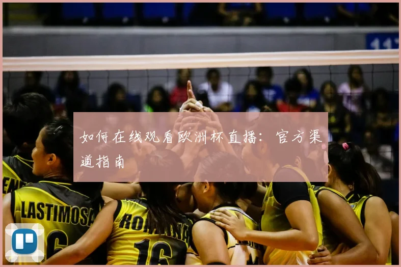 如何在线观看欧洲杯直播：官方渠道指南