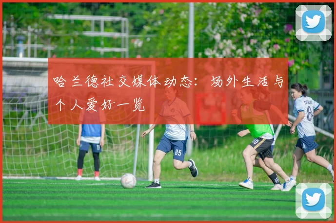 哈兰德社交媒体动态:场外生活与个人爱好一览